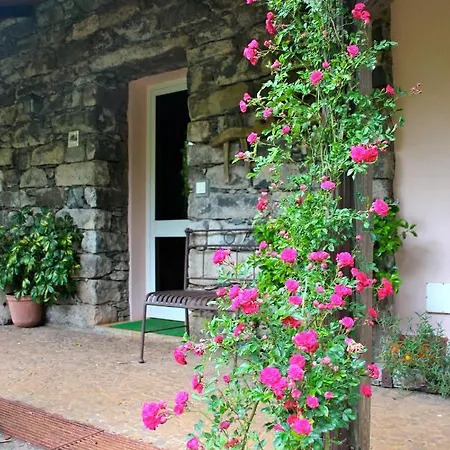 Bio Quinta Do Pantano, Agro Turismo Vila Santo Antonio da Serra Exterior foto