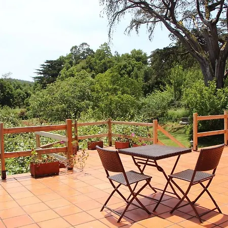 Bio Quinta Do Pantano, Agro Turismo Vila Santo Antonio da Serra Quarto foto