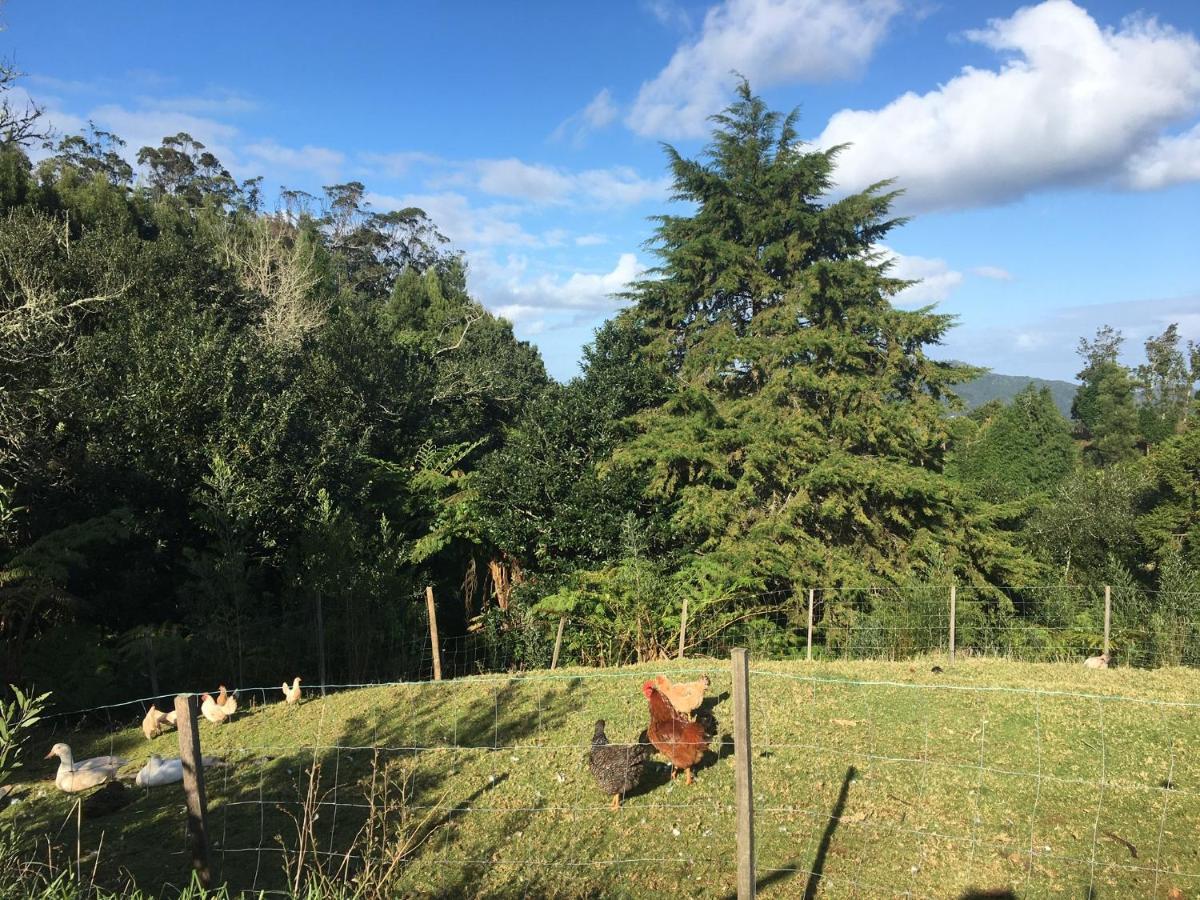 Bio Quinta Do Pantano, Agro Turismo Farm stay Santo Antonio da Serra