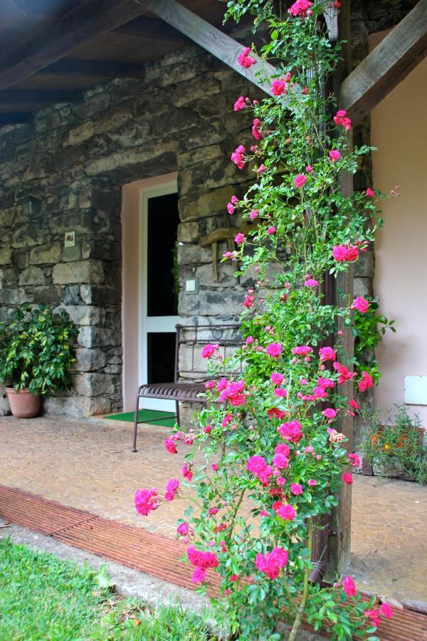 Bio Quinta Do Pantano, Agro Turismo * Santo Antonio da Serra