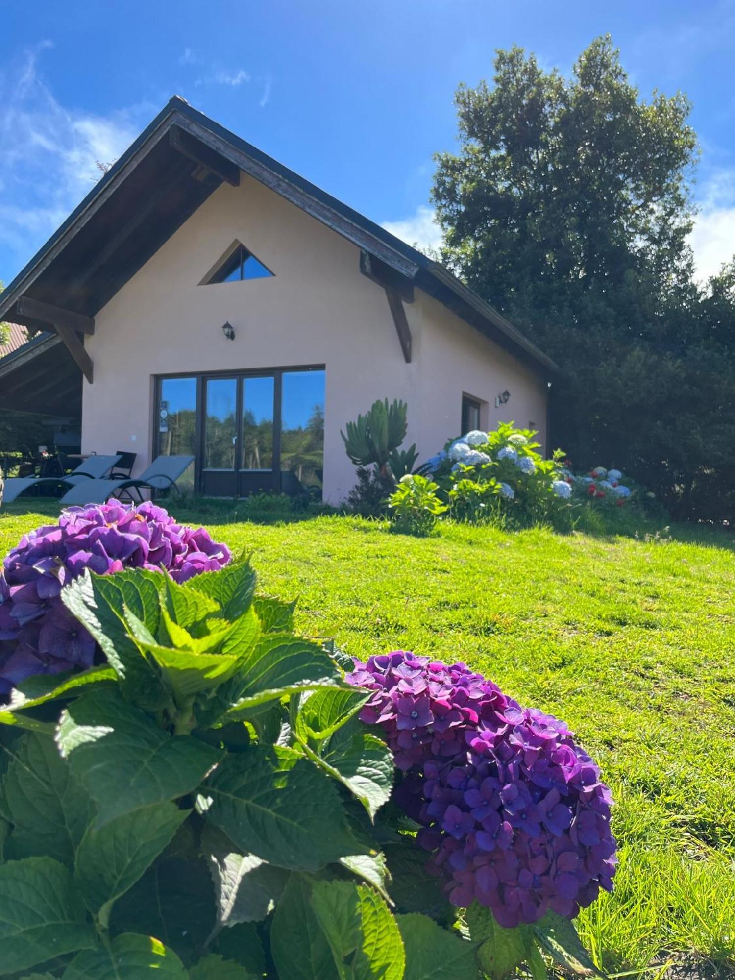 Bio Quinta Do Pantano, Agro Turismo Alojamento de Turismo Rural Santo Antonio da Serra
