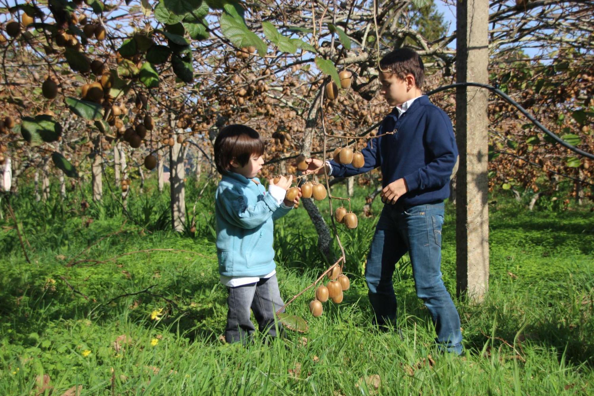 Bio Quinta Do Pantano, Agro Turismo Santo Antonio da Serra