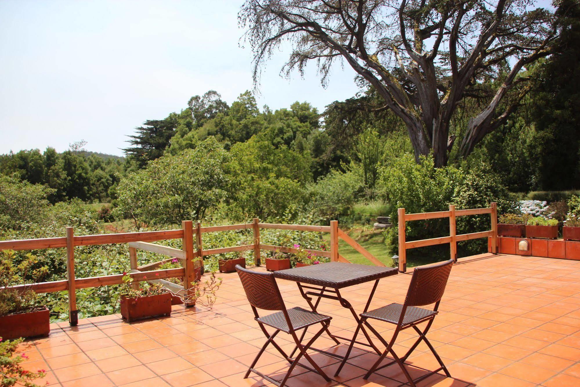 Farm stay Bio Quinta Do Pantano, Agro Turismo